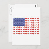 USA-Dackel Postkarte (Vorne/Hinten)