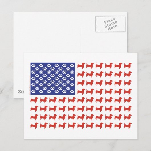 USA-Dackel Postkarte (Vorne/Hinten)