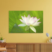 USA, DC, Washington, Kenilworth Aquatic Leinwanddruck (Insitu (Wohnzimmer))