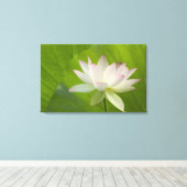 USA, DC, Washington, Kenilworth Aquatic Leinwanddruck (Insitu (Holzboden))