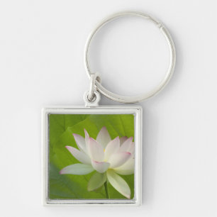 USA, DC, Washington, Kenilworth Aquatic Schlüsselanhänger