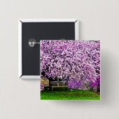 USA, Delaware, Wilmington. Holzbank unter Button (Vorne & Hinten)