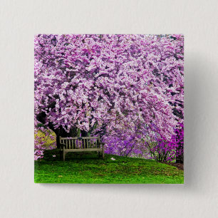 USA, Delaware, Wilmington. Holzbank unter Button