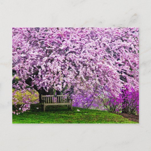 USA, Delaware, Wilmington. Holzbank unter Postkarte (Vorderseite)