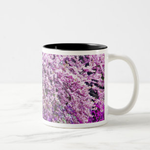 USA, Delaware, Wilmington. Holzbank unter Zweifarbige Tasse