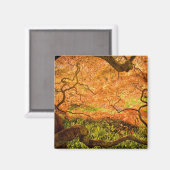 USA, Delaware, Wilmington. Japanischer Ahorn Magnet (Vorderseite/Rückseite)