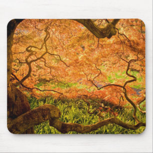 USA, Delaware, Wilmington. Japanischer Ahorn Mousepad
