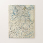 USA Dez. 1860 Puzzle (Vertikal)