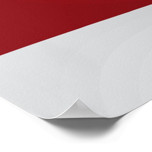 USA Dollar Poster (Ecke)