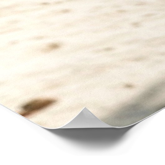 USA Dream Girl 14 Poster (Ecke)