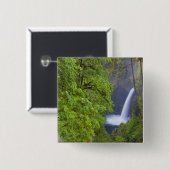 USA, Eagle Creek, Columbia Gorge, Oregon.2 Button (Vorne & Hinten)