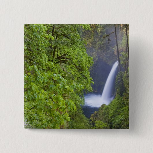 USA, Eagle Creek, Columbia Gorge, Oregon.2 Button (Vorderseite)