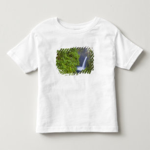 USA, Eagle Creek, Columbia Gorge, Oregon. 2 Kleinkind T-shirt