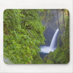 USA, Eagle Creek, Columbia Gorge, Oregon. 2 Mousepad
