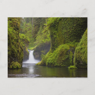 USA, Eagle Creek, Columbia Gorge, Oregon. 3 Postkarte