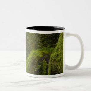 USA, Eagle Creek, Columbia Gorge, Oregon.3 Zweifarbige Tasse