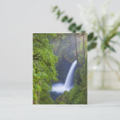 USA, Eagle Creek, Columbia Gorge, Oregon. Postkarte (Stehend Vorderseite)