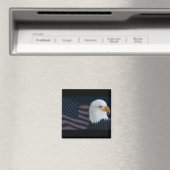 Usa Eagle Magnet (In Situ (Geschirrspüler))