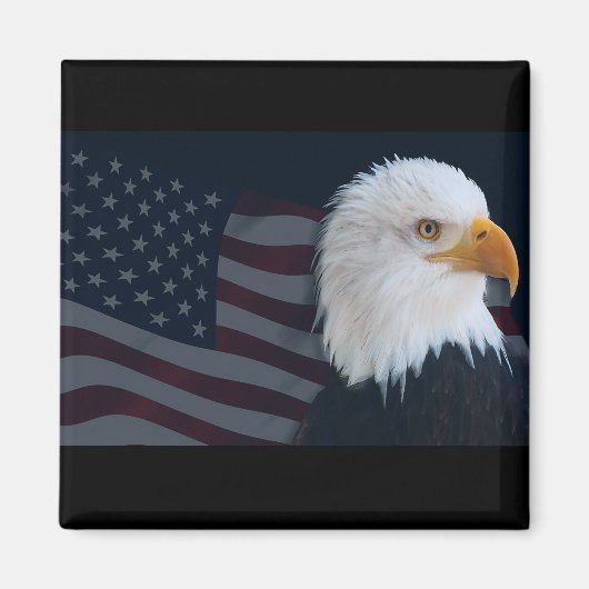 Usa Eagle Magnet (Vorne)