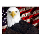 USA Eagle Patriotic