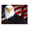 USA Eagle Patriotic