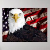 USA Eagle Patriotic Poster (Vorne)