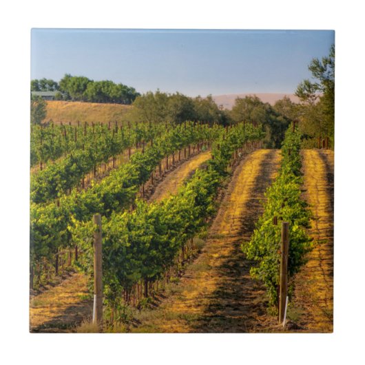 USA, Eastern Washington, Walla Walla Fliese (Vorderseite)