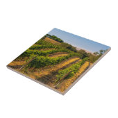 USA, Eastern Washington, Walla Walla Fliese (Seite)