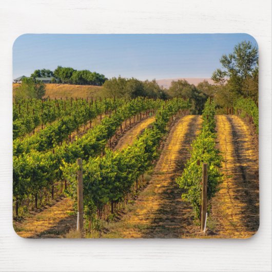 USA, Eastern Washington, Walla Walla Mousepad (Vorne)