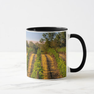 USA, Eastern Washington, Walla Walla Tasse