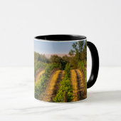 USA, Eastern Washington, Walla Walla Tasse (VorderseiteRechts)