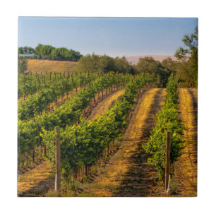 USA, Eastern Washington, Walla Walla Weinberge Fliese