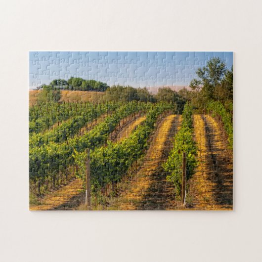 USA, Eastern Washington, Walla Walla Weinberge Puzzle (Horizontal)