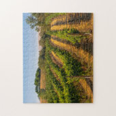 USA, Eastern Washington, Walla Walla Weinberge Puzzle (Vertikal)