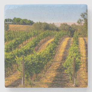 USA, Eastern Washington, Walla Walla Weinberge Steinuntersetzer
