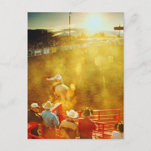 USA, erhöhte Sicht auf Bullfahrer und Cowboys bei Postkarte (Vorderseite)