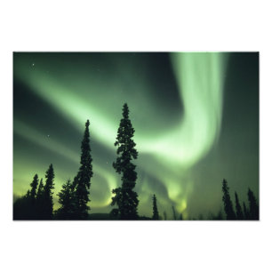 USA, Fairbanks area, Central Alaska, Aurora 2 Fotodruck