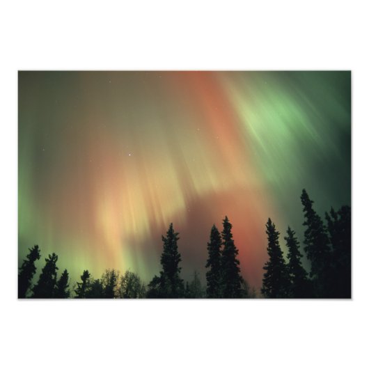 USA, Fairbanks area, Central Alaska, Aurora 3 Fotodruck (Vorne)