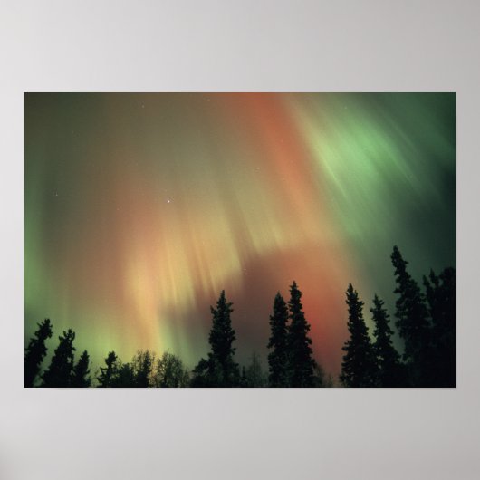 USA, Fairbanks area, Central Alaska, Aurora 3 Poster (Vorne)