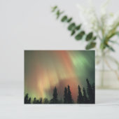 USA, Fairbanks area, Central Alaska, Aurora 3 Postkarte (Stehend Vorderseite)