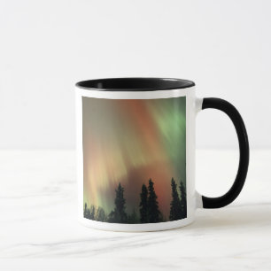 USA, Fairbanks area, Central Alaska, Aurora 3 Tasse