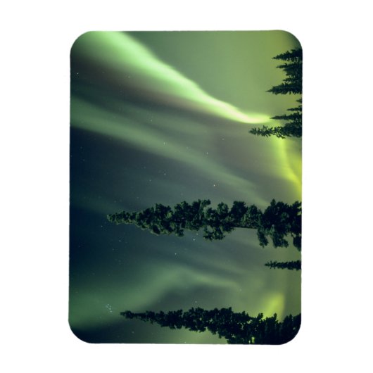USA, Fairbanks area, Central Alaska, Aurora Magnet (Vertikal)