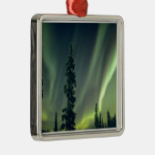 USA, Fairbanks area, Central Alaska, Aurora Ornament Aus Metall (Rechts)