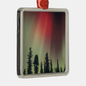 USA, Fairbanks area, Central Alaska, Aurora Silbernes Ornament (Rechts)