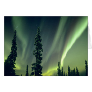 USA, Fairbanks-Gebiet, Zentralalaska, Aurora