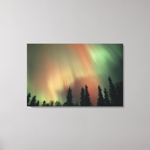 USA, Fairbanks-Gebiet, Zentralalaska, Aurora 2 Leinwanddruck