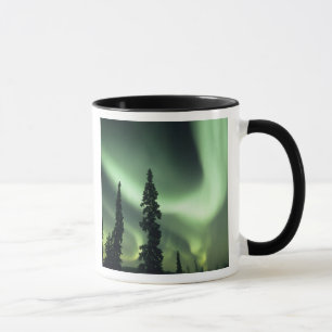 USA, Fairbanks-Gebiet, Zentralalaska, Aurora 2 Tasse