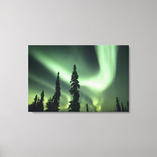 USA, Fairbanks-Gebiet, Zentralalaska, Aurora 3 Leinwanddruck