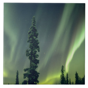 USA, Fairbanks-Gebiet, Zentralalaska, Aurora Fliese