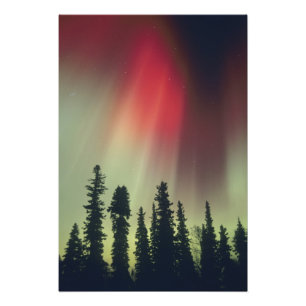 USA, Fairbanks-Gebiet, Zentralalaska, Aurora Fotodruck